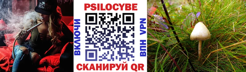 Галлюциногенные грибы Magic Shrooms  Темников 