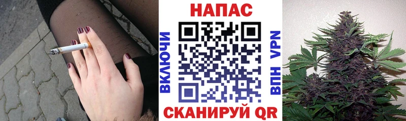 Бошки марихуана THC 21%  закладка  Темников 